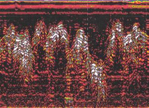 bedrock topography using GPR